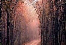 乐鱼体育官网：[国际足球]孙兴慜助攻 韩国战平约旦.