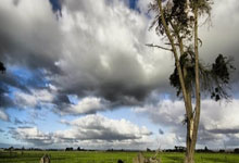 亚冬会︱单板滑雪大跳台 中国队包揽男子和女子冠亚军2025-02-10.