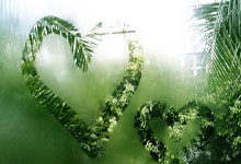 乐鱼体育官网：[国际足球]孙兴慜助攻 韩国战平约旦.