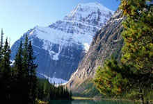 [田径]2025奉化马拉松鸣枪开跑.