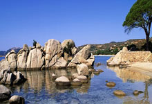 乐鱼体育官网:赣江观澜:做足“冰雪+”文章 赣鄱大地迎来“冰雪热”2025-01-28.